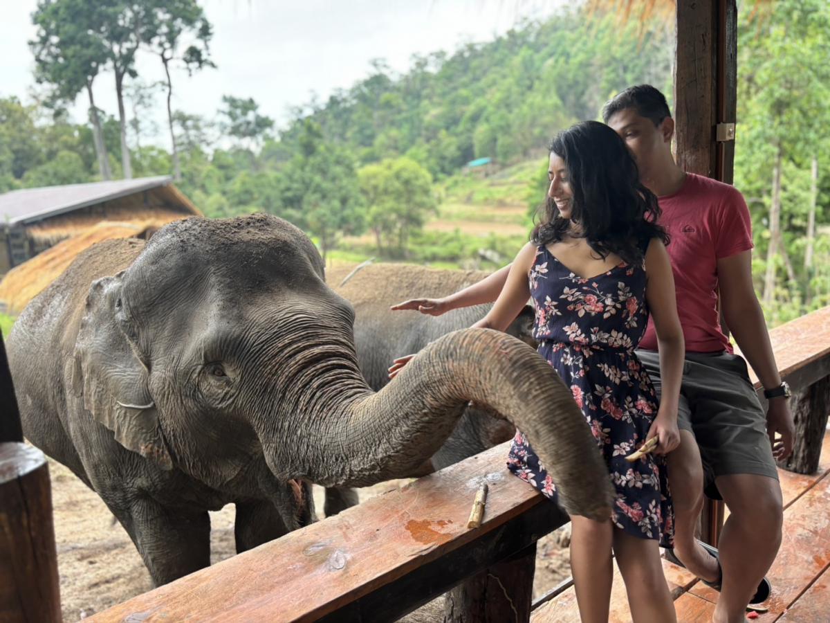 About PON ELEPHANT THAILAND